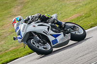 Lower Group White Bikes